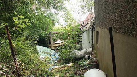 Aug 2015 - Owl-Questions3.jpg