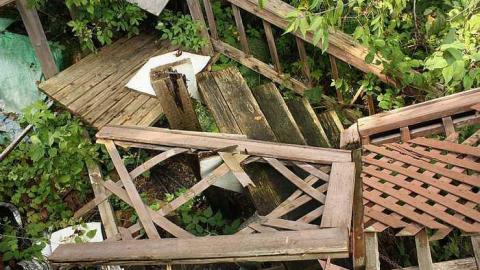 Aug 2015 - Owl-Questions15.jpg