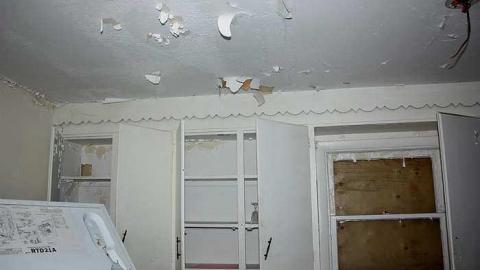 Aug 2015 - Owl-Questions6.jpg