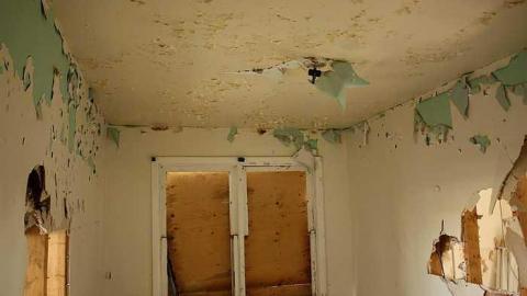 Aug 2015 - Owl-Questions7.jpg