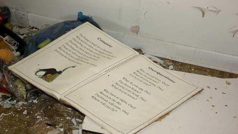 Aug 2015 - Owl-Questions8.jpg