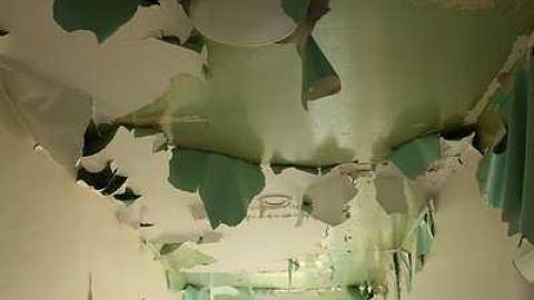 Aug 2015 - Owl-Questions21.jpg