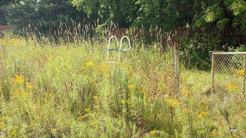 Aug 2015 - Owl-Questions10.jpg