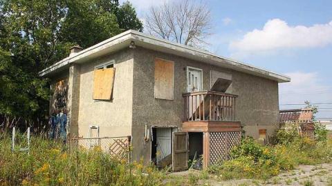 Aug 2015 - Owl-Questions22.jpg