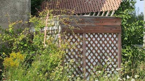 Aug 2015 - Owl-Questions24.jpg