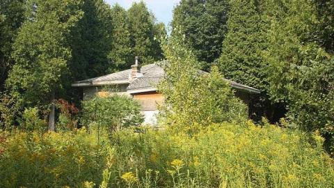 Aug 2015 - The-Other-Three1.jpg