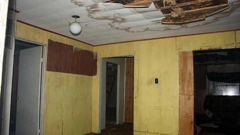 Aug 2015 - The-Other-Three3.jpg