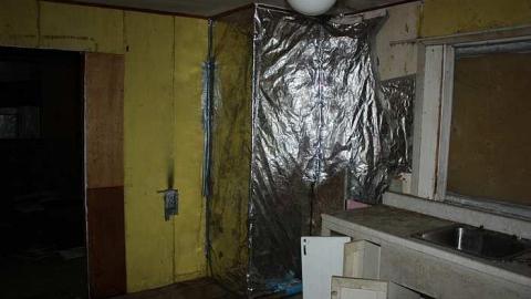 Aug 2015 - The-Other-Three4.jpg