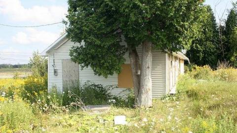 Aug 2015 - The-Other-Three6.jpg