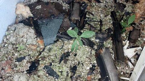 Aug 2015 - The-Other-Three8.jpg