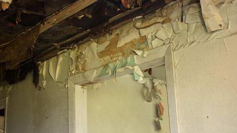 Aug 2015 - The-Other-Three9.jpg