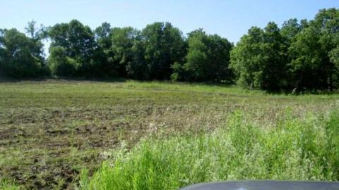 Chubby - Chubtown8.jpg