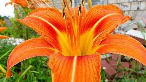 Photo from July 2015