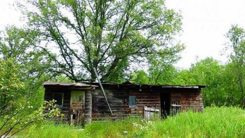 Whatsit? - P1020634.jpg