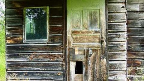 Whatsit? - P1020635.jpg