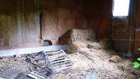 Whatsit? - P1020636.jpg