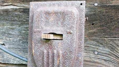 Whatsit? - P1020637.jpg