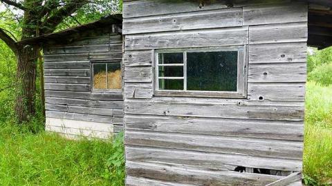 Whatsit? - P1020639.jpg