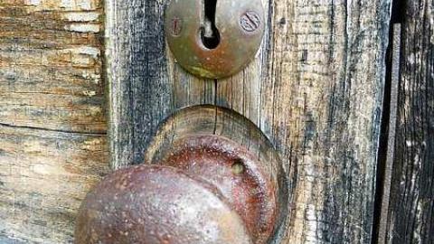 Whatsit? - P1020640.jpg