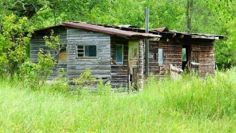 Whatsit? - P1020641.jpg