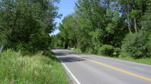 Chubby - Chubtown9.jpg