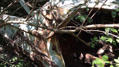 Car 8/16/15 - Rare-Find2.jpg