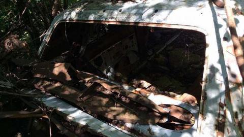 Car 8/16/15 - Rare-Find3.jpg