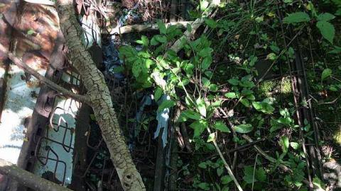 Car 8/16/15 - Rare-Find12.jpg