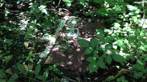 Car 8/16/15 - Rare-Find14.jpg