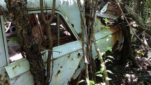 Car 8/16/15 - Rare-Find6.jpg