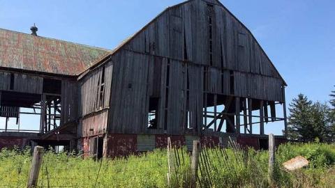 Just the barn 8/16/15 - The-Randall-Farm3.jpg