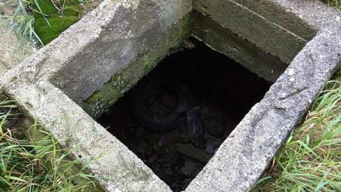 Just the barn 8/16/15 - The-Randall-Farm4.jpg