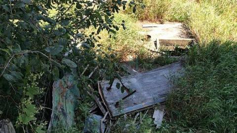 Photo from Just the barn 8/16/15