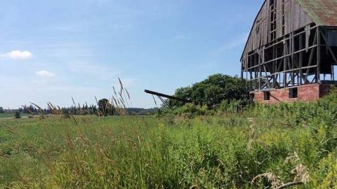 Photo from Just the barn 8/16/15