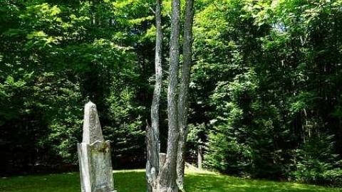 Milburn - Milburn-Family-Cemetery1.jpg