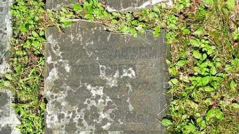 Milburn - Milburn-Family-Cemetery10.jpg