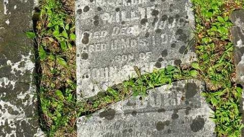 Milburn - Milburn-Family-Cemetery8.jpg