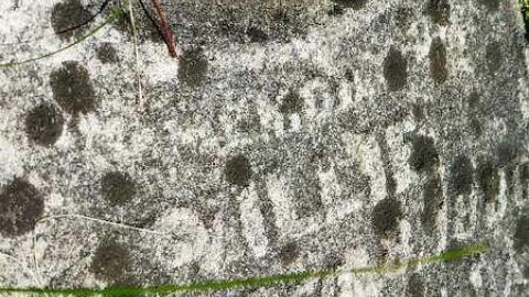 Milburn - Milburn-Family-Cemetery4.jpg