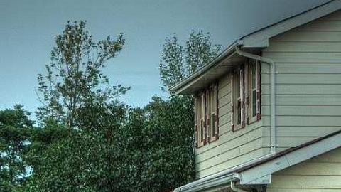 Ready For A Dirt Nap - Endangered-Species9.jpg