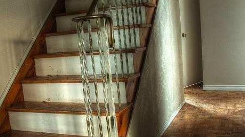 Ready For A Dirt Nap - Endangered-Species4.jpg