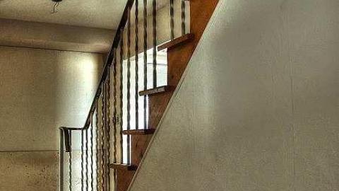 Ready For A Dirt Nap - Endangered-Species7.jpg