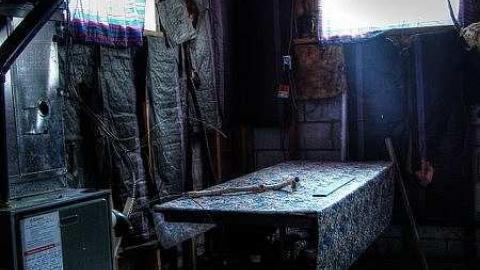 Ready For A Dirt Nap - Endangered-Species13.jpg