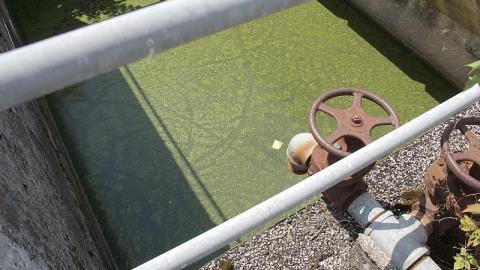 Edgar 2015 - CFB-Edgar234.jpeg