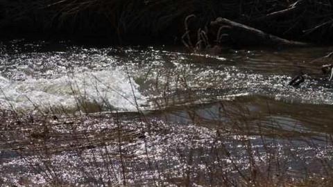 Bagotville 2 - Bagotville-(ghost-town)33.jpg