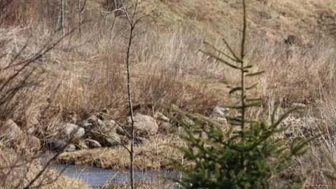 Bagotville 2 - Bagotville-(ghost-town)35.jpg