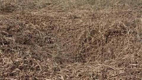 Photo from Bagotville 2