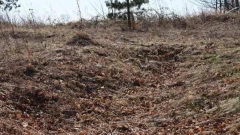 Bagotville 2 - Bagotville-(ghost-town)38.jpg