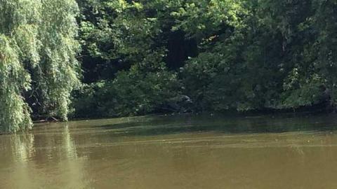 8/19/15 - Hoarders-Trash-Heap7.jpg