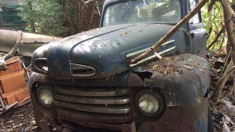 Hoarders Trash Heap - Burlington, Ontario