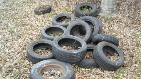 House of tires and spiders - Vaughan, Ontario